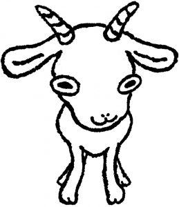 石垣島のやぎ