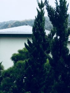 春分の日　逗子　雪景色