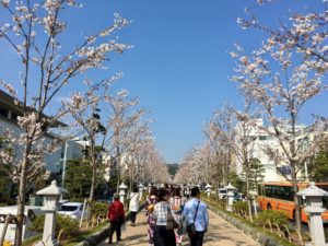 段葛　鎌倉　鶴岡八幡宮　観光地　スピリチュアル　宇宙