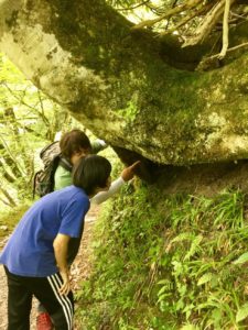 大山　車浩一　インストラクター自然　歴史　ガイド　鳥取　森　