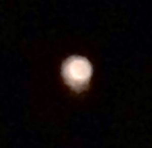 桜の花びら　UFO 宇宙船　さくら　石垣島　宇宙人　CE5